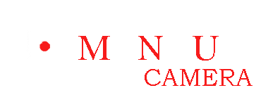 Momentum Security Camera Logo