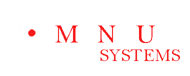 Momentum Security Systems Logo